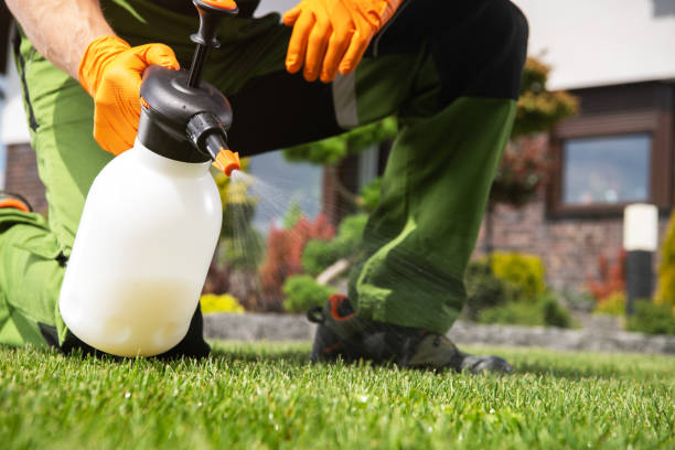 Best Bed Bug Extermination  in Gunter, TX