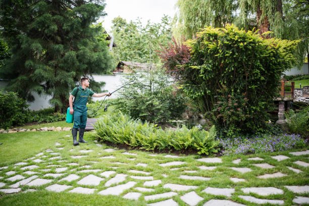 Best Pest Removal Services  in Gunter, TX