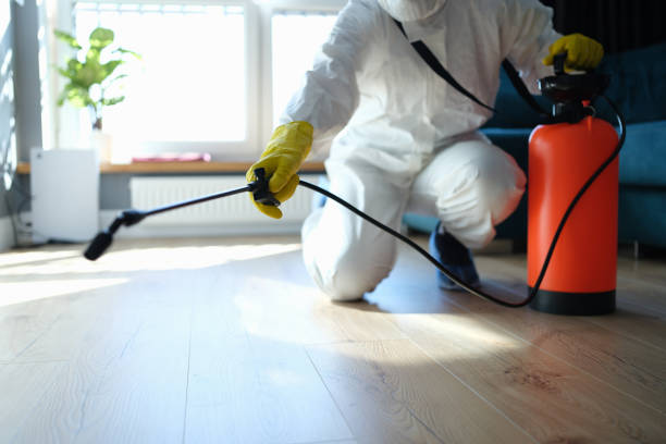 Reliable Gunter, TX Pest Control Solutions
