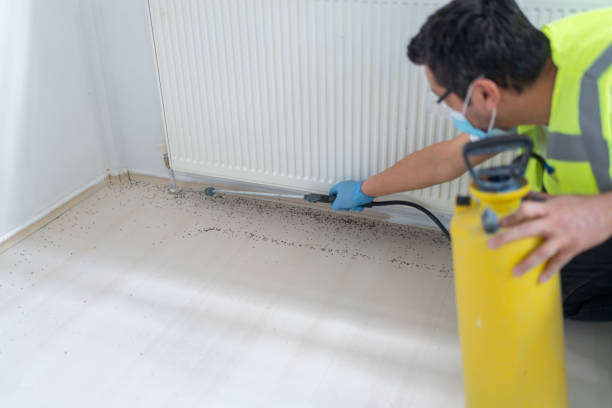 Best Pest Prevention Services  in Gunter, TX